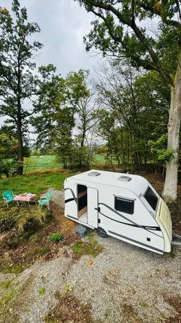 Prodej lesa, Postupice, 470 m2