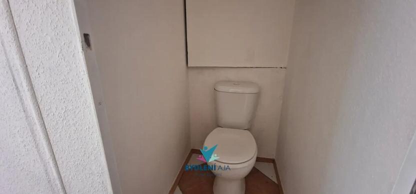 Pronájem bytu 3+kk, Bílina, Aléská, 65 m2