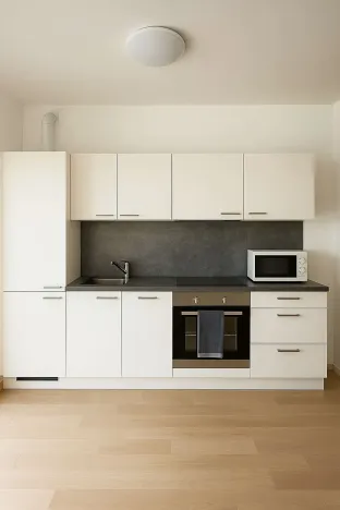 Pronájem bytu 1+kk, Praha - Žižkov, 39 m2