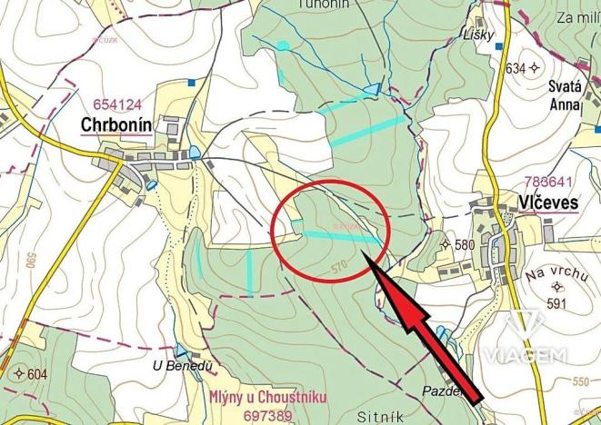 Prodej lesa, Chrbonín, 21469 m2