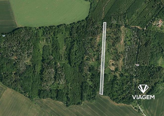 Prodej podílu lesa, Lukovany, 7040 m2