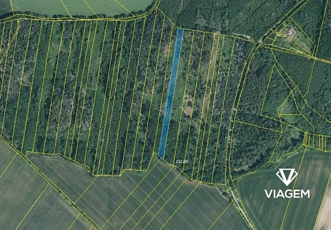Prodej podílu lesa, Lukovany, 7040 m2