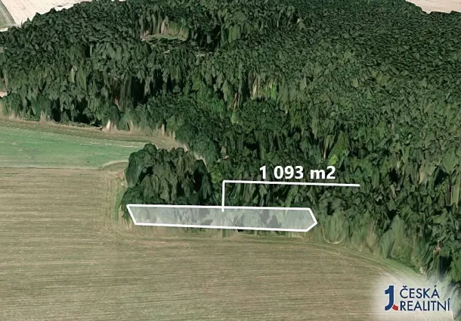Prodej lesa, Šípy, 1093 m2