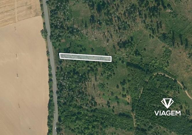 Prodej lesa, Petrůvky, 711 m2