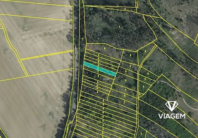 Prodej lesa, Petrůvky, 711 m2