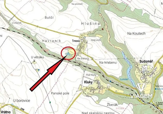 Prodej lesa, Katusice, 1936 m2