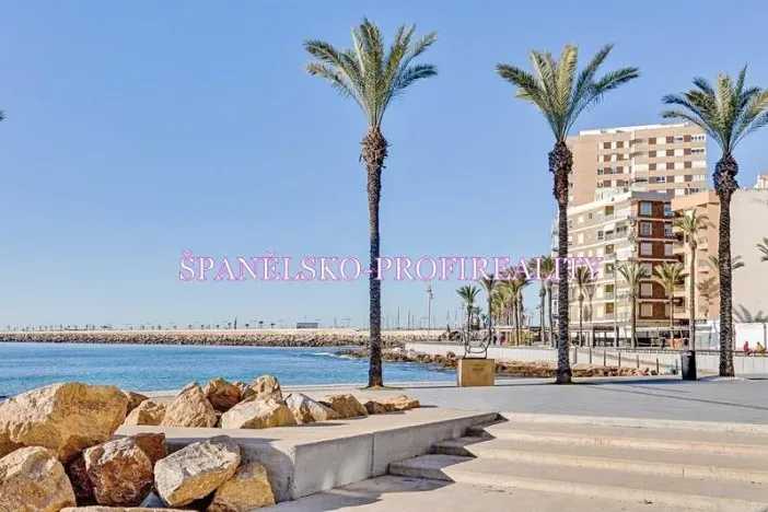 Prodej bytu 1+kk, Torrevieja, Španělsko, Calle Los gases, 40 m2