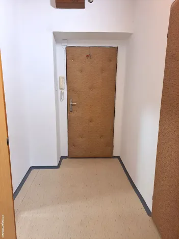 Pronájem bytu 1+1, Pardubice, Jana Palacha, 38 m2