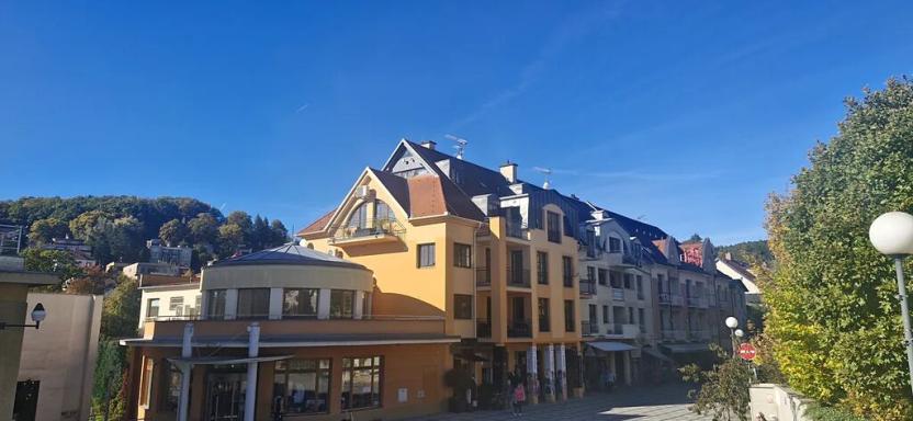 Pronájem bytu 4+kk, Luhačovice, Dr. Veselého, 170 m2