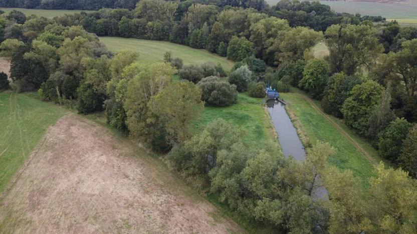 Prodej louky, Šestajovice, 3641 m2