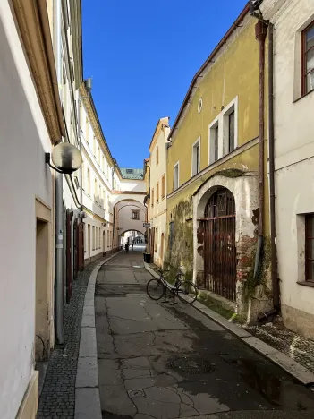 Prodej rodinného domu, Pardubice, Kostelní, 300 m2