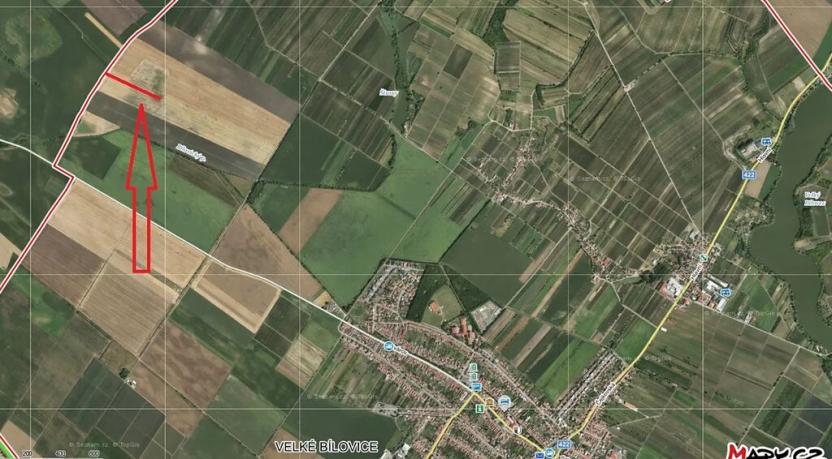 Prodej pole, Velké Bílovice, 3524 m2