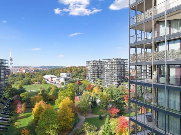 Pronájem bytu 2+kk, Praha - Žižkov, Pitterova, 77 m2