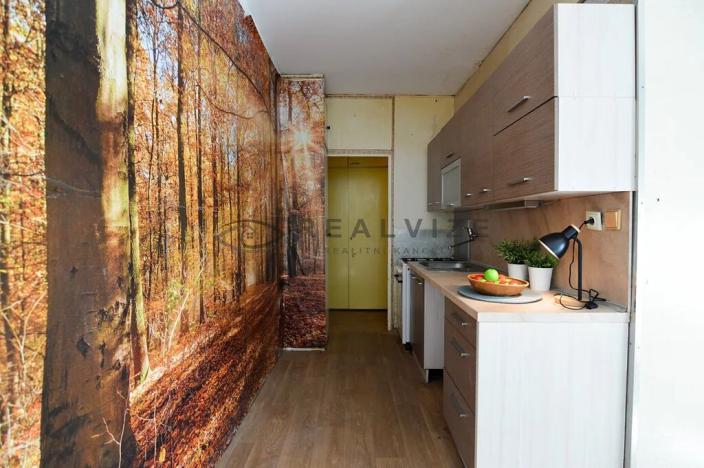 Prodej bytu 1+1, České Budějovice, Kubatova, 50 m2