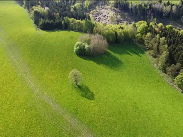 Dražba louky, Hanušovice, 53256 m2