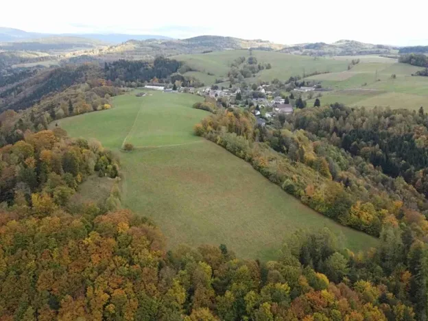 Dražba louky, Hanušovice, 53256 m2