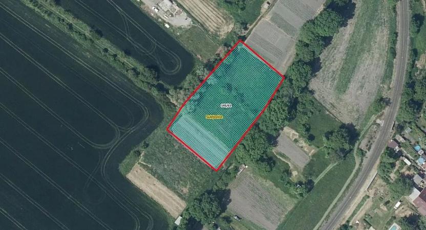 Prodej zahrady, Sulejovice, 3078 m2