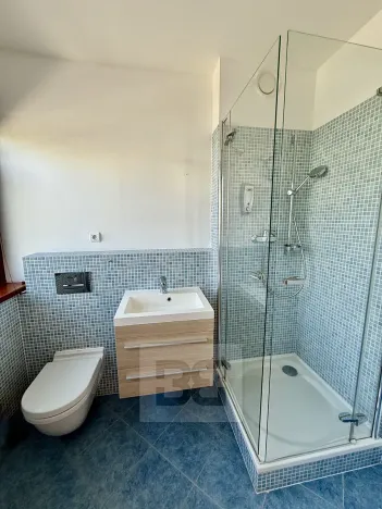 Pronájem rodinného domu, Praha - Jinonice, U panské zahrady, 302 m2