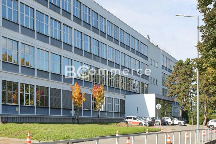Pronájem kanceláře, Brno, Purkyňova, 700 m2