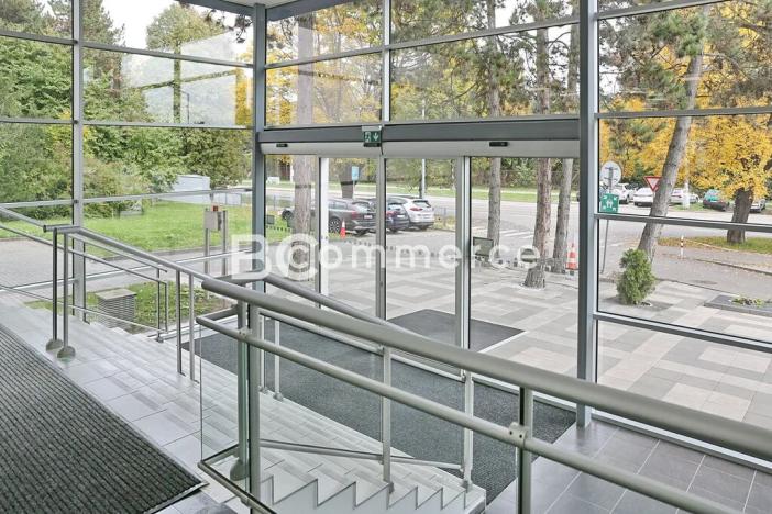 Pronájem kanceláře, Brno, Purkyňova, 100 m2