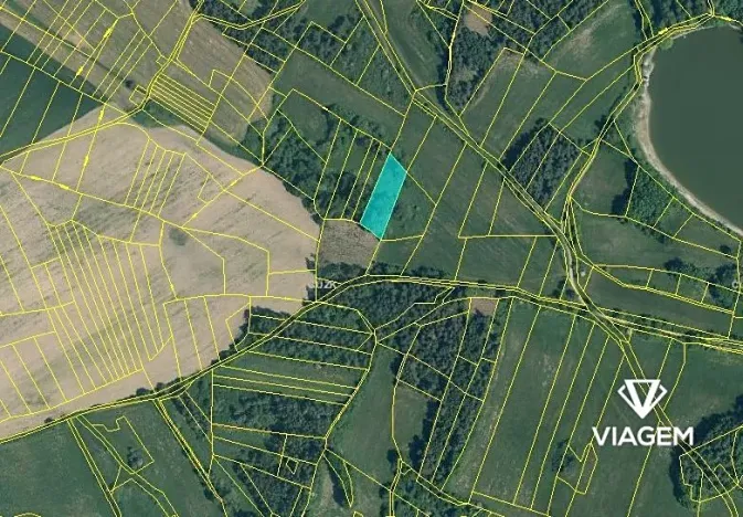Prodej podílu lesa, Chanovice, 1232 m2