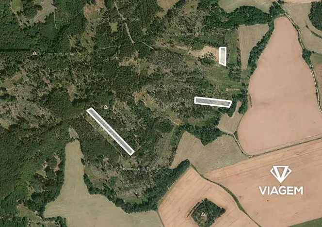 Prodej podílu lesa, Všepadly, 1092 m2