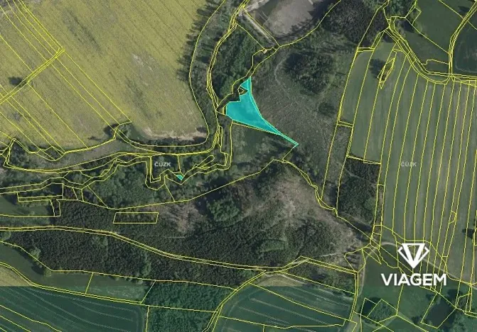 Prodej podílu lesa, Žirovnice, 1457 m2