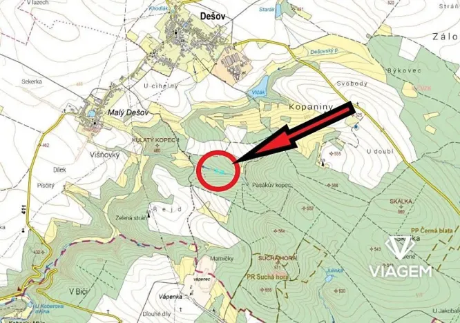 Prodej podílu lesa, Dešov, 806 m2