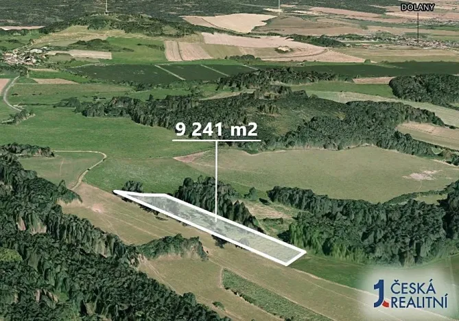 Prodej podílu lesa, Dolany, 3080 m2