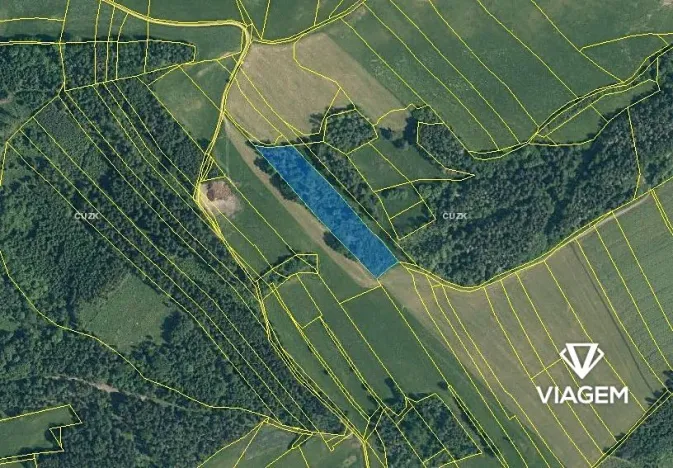 Prodej podílu lesa, Dolany, 3080 m2