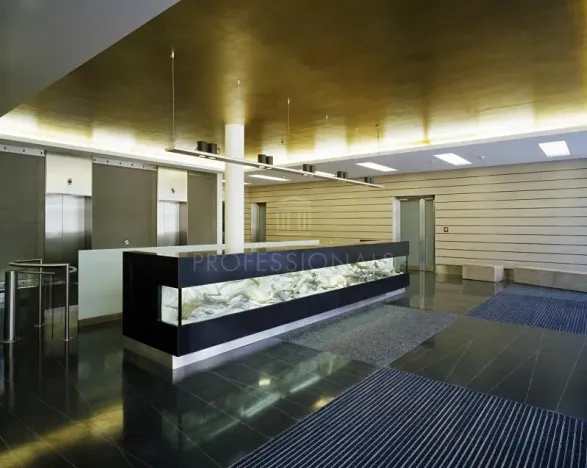 Pronájem kanceláře, Praha - Chodov, V parku, 330 m2