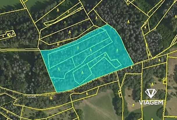 Prodej podílu lesa, Koroužné, 3262 m2