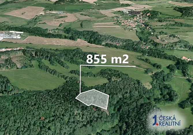 Prodej podílu lesa, Bošice, 1711 m2