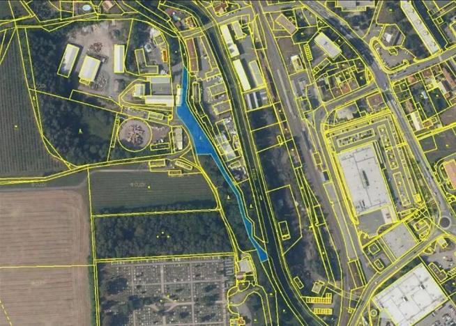 Prodej lesa, Rychnov nad Kněžnou, 3801 m2