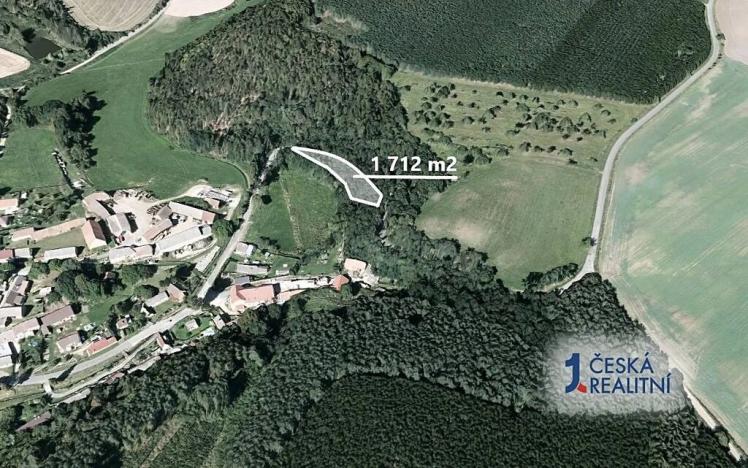 Prodej lesa, Hlohovice, 1712 m2