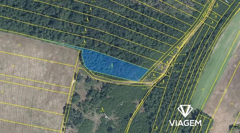 Prodej podílu lesa, Rybníky, 2697 m2