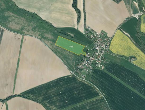 Prodej pole, Neuměř, 10244 m2