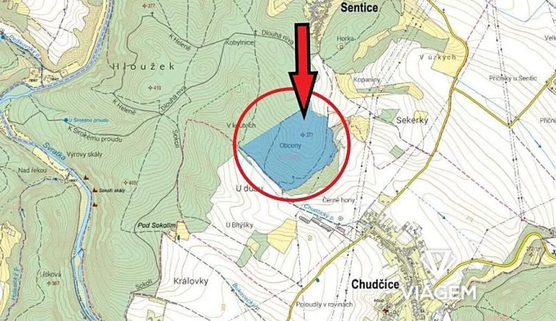 Prodej podílu lesa, Sentice, 23684 m2