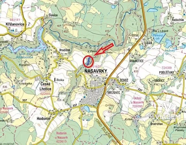 Prodej podílu lesa, České Lhotice, 7146 m2