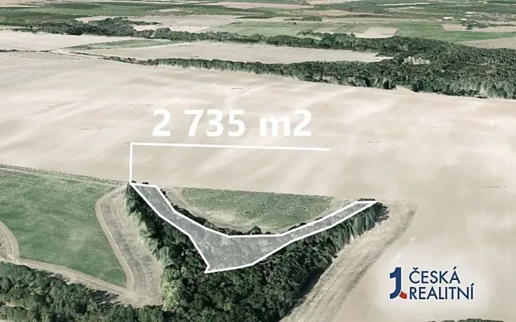 Prodej podílu lesa, Mělnické Vtelno, 8584 m2