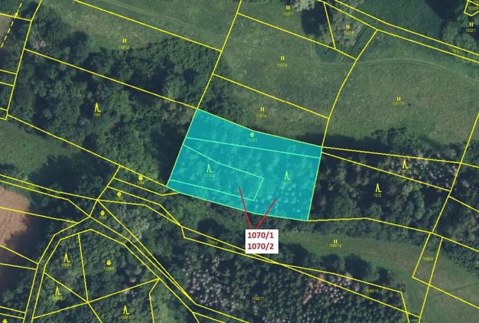 Dražba lesa, Kněžnice, 2271 m2