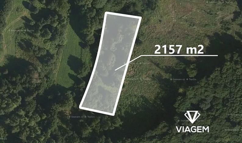 Prodej podílu lesa, Jablůnka, 921 m2