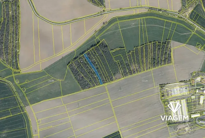 Prodej podílu lesa, Koloveč, 629 m2