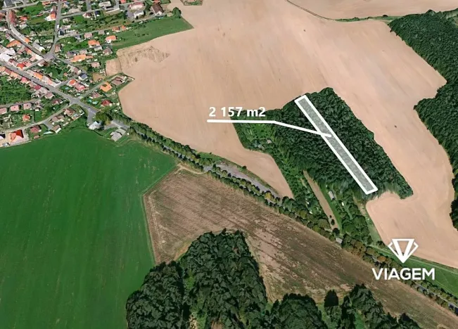 Prodej podílu lesa, Koloveč, 427 m2