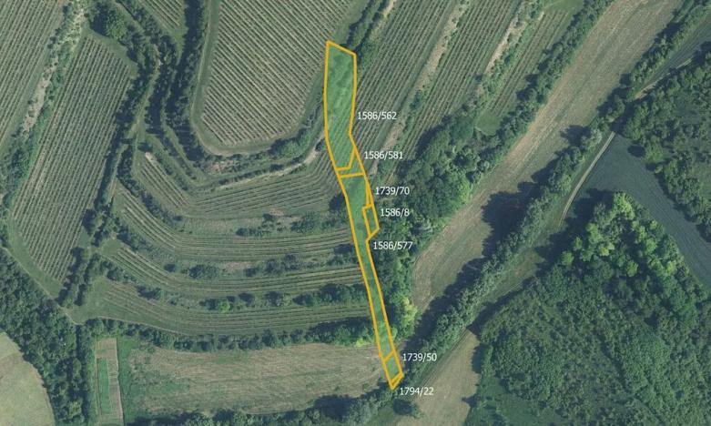 Prodej pole, Uherčice, 4057 m2