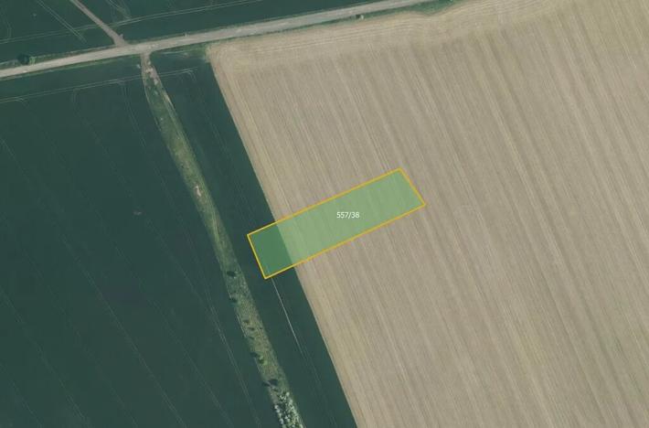 Prodej pole, Beňov, 4181 m2