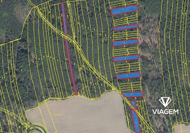 Prodej podílu lesa, Koloveč, 2599 m2