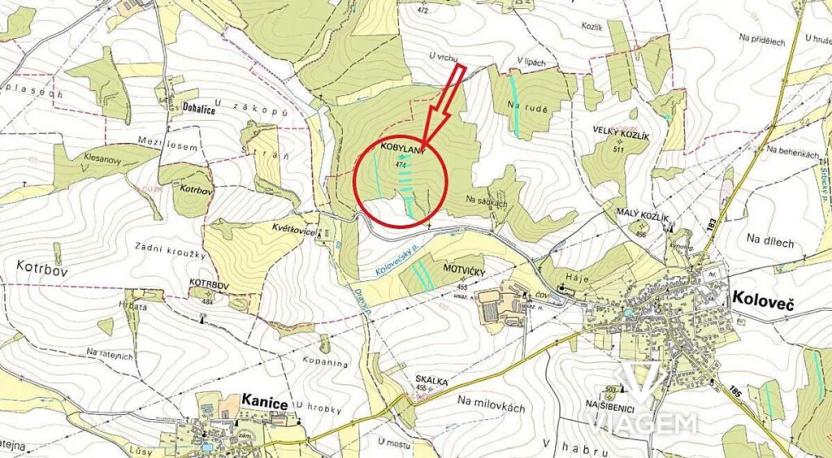 Prodej podílu lesa, Koloveč, 2599 m2