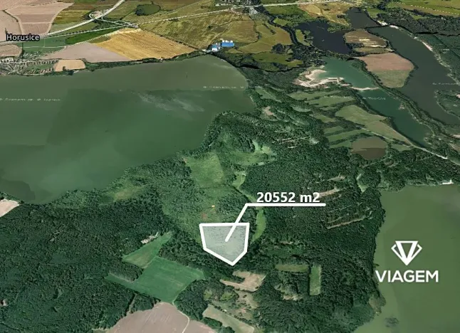 Prodej podílu lesa, Veselí nad Lužnicí, 20552 m2