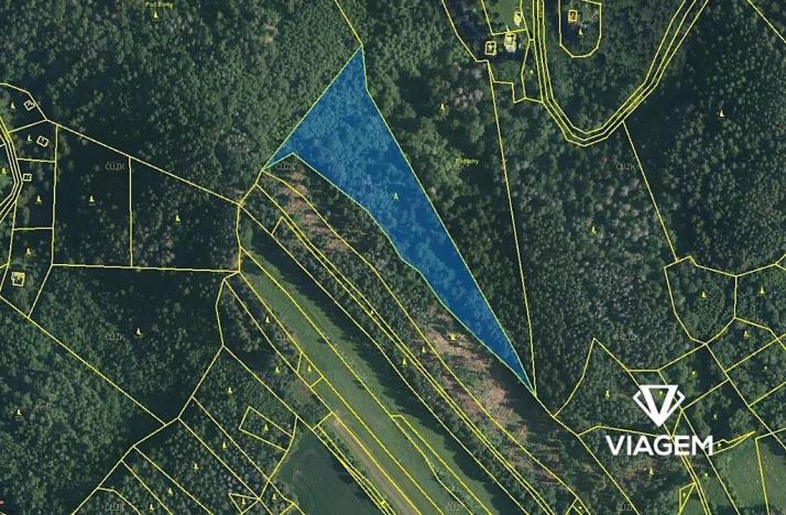 Prodej podílu lesa, Kuřimská Nová Ves, 8824 m2